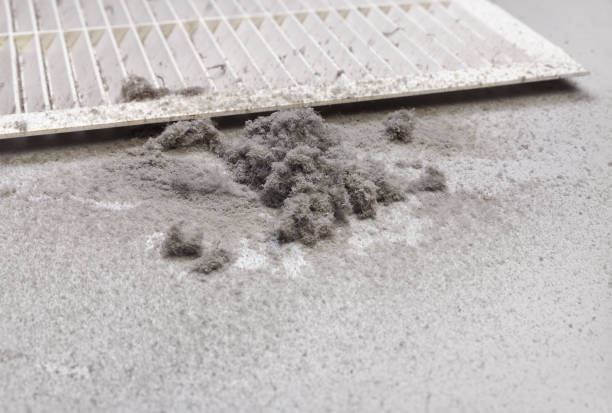 Best Affordable Air Duct Cleaning  in Plattsburg, MO