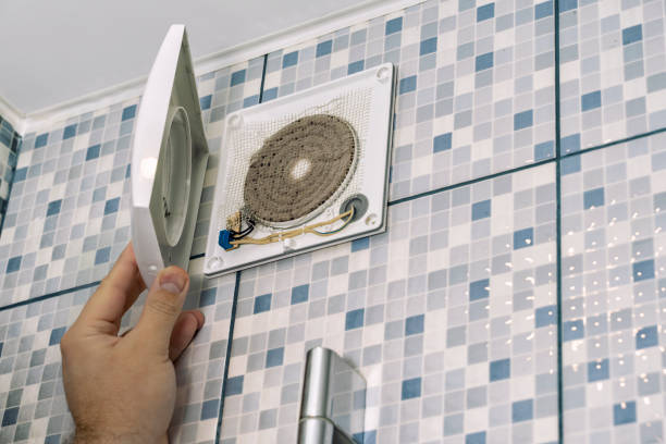 Best Air Vent Cleaning Services  in Plattsburg, MO