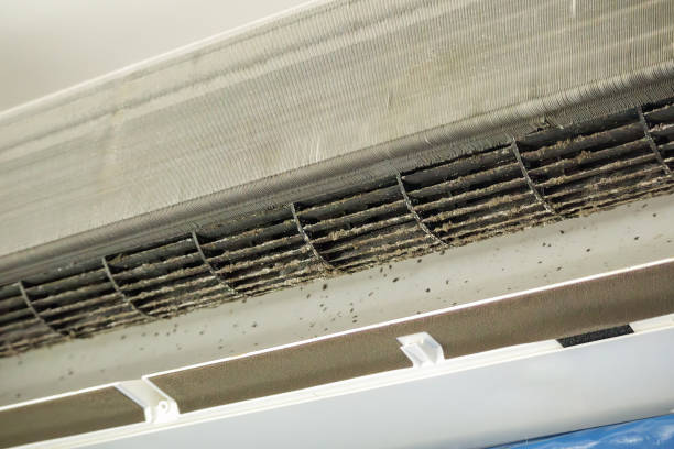 Best Air Vent Cleaning Services  in Plattsburg, MO